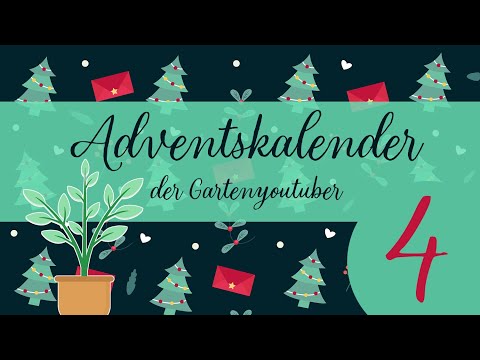 Adventskalender der Garten YouTuber 2024 🎄 Türchen Nr. #4 🎁