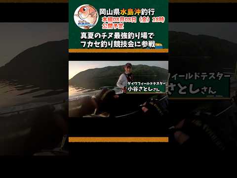 真夏のチヌ最強釣り場でフカセ釣り競技会に参戦#shorts