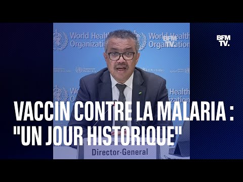 Vaccin contre la malaria: un jour historique selon le directeur général de l'OMS