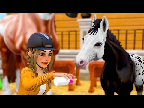 Star Equestrian - Breeding beautiful foals explained!