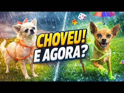 COMEÇOU A CHOVER… E MEUS CACHORROS TENTARAM CONTROLAR O CLIMA! 🌧️🐶