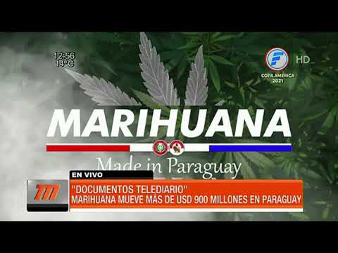 Esta noche en el Telediario: Marihuana made in Paraguay