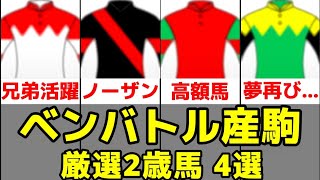 【POG2025-2026】ベンバトル産駒の厳選2歳馬4選【シーガルワールド/コロナドブリッジ】