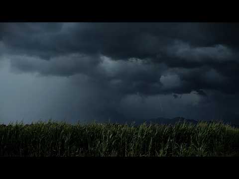 Strong Thunderstorms Rolling Over Mountains | Cornfield View | Wind & Distant Thunder | 3 Hours