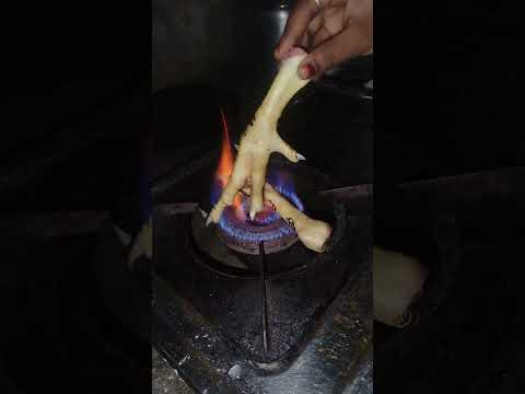 murga ka panja #vairalvideo #newvideo #shorts