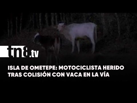 Motociclista gravemente herido tras colisión con vaca en Isla de Ometepe