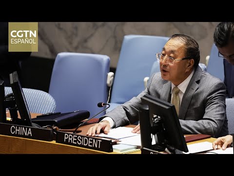 El representante permanente de China ante la ONU pide el cese de la ofensiva israelí en Gaza.
