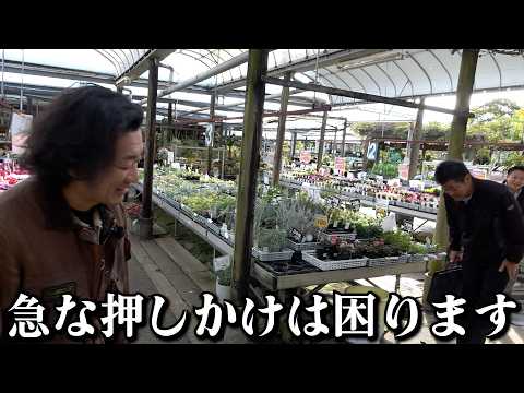 撮影中に飛び込み営業が来ました【カーメン君】【園芸】【ガーデニング】