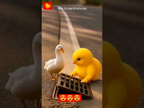 maa #maa #love #shorts #youtubeshorts #subscribe