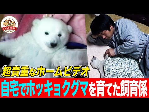 【日本初】ホッキョクグマの赤ちゃん「ピース」を自宅で育てた飼育係の奇跡！冬でも窓全開で体調不良…数々の試練を克服したのは家族愛！Part1【どうぶつ奇想天外／WAKUWAKU】