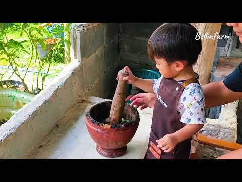 Vlog เสิร์ฟจากสวน | Garden Harvest #gardening #vlog #harvest #bellinfarm #farming 