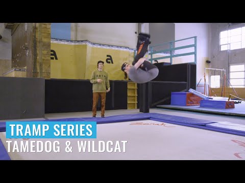 Tramp Series - Ep. 28: Tamedog & Wildcat (Flips)