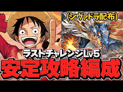 ルフィでシヴァドラ確定ゲット！LV5攻略編成 10周年ラストチャレンジ【パズドラ】