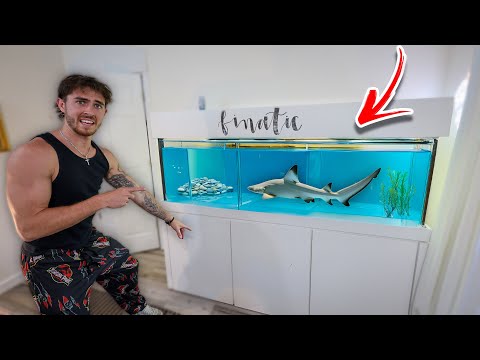 I am BUYING this for the New House?! Go check out Rhino USA and use my CODE_ DaddyFin 
RhinoUSA_ https_//www.rhinousainc.com

It was fina