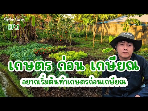 Ep.1 เกษตรก่อนเกษียณ | จุดเริ่มต้นทำเกษตร #เกษตรก่อนเกษียณ #เบลล์อินฟาร์ม #ใช้ชีวิตก่อนเกษียณ