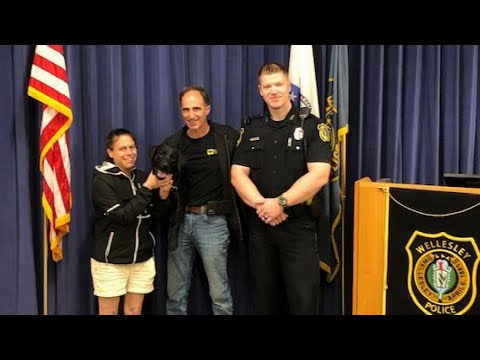 Stolen Puppy’s Tail Wags When She’s Reunited With Her Massachusetts Family Stolen Puppy’s Tail Wags When She’s Reunited With Her Massachusetts Family