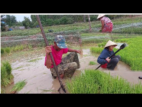 ถอนก้าแบบใหม่ยาบเหลือเกิน⛏️⛏️