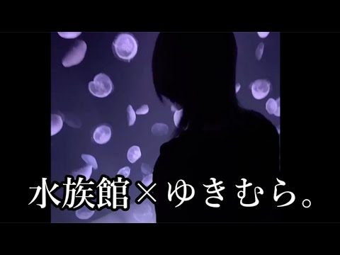 ゆき むら 炎上 理由 ゆきりぬの炎上理由の画像加工の内容は かこちんとの関係は