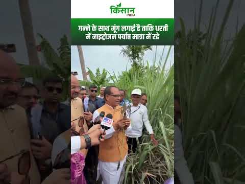 गन्ना किसान से मिलने खेत में पहुंचे Shivraj Singh Chouhan । Kisan India