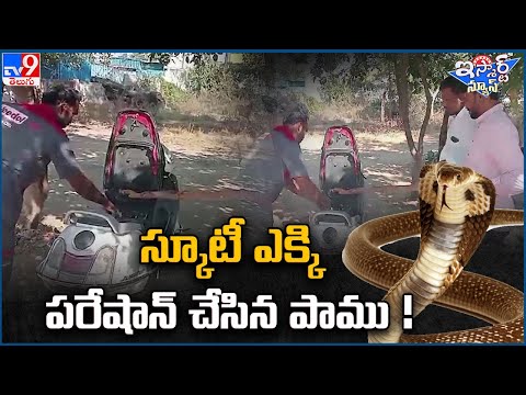 iSmart News : స్కూటీ ఎక్కి  పరేషాన్ చేసిన పాము !  | Sanke in Scooty - TV9