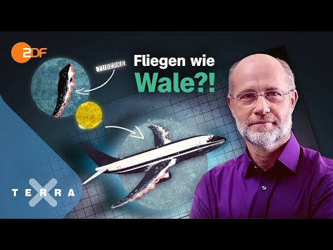 Ideen für die Zukunft – Die Natur als Vorbild – Leschs Kosmos [Ganze TV-Folge] | Harald Lesch