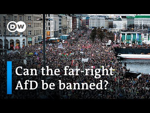 Thousands in Hamburg rally against far-right 'master plan' | DW News