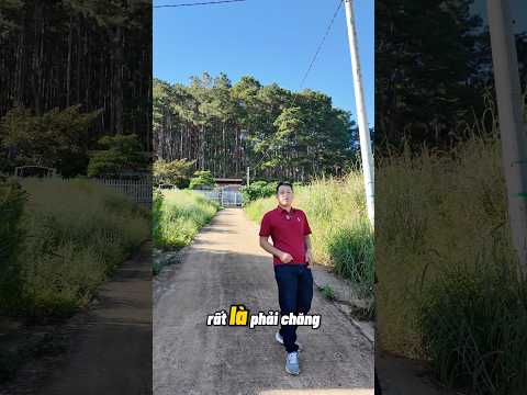 Vàng tăng – đất của dân tách ra vẫn còn giá tốt!Mảnh đất nhỏ xinh gầ phường Cam Ly – Đà Lạt #dalat