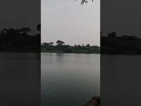 महानदी #shorts #ytshorts #trending