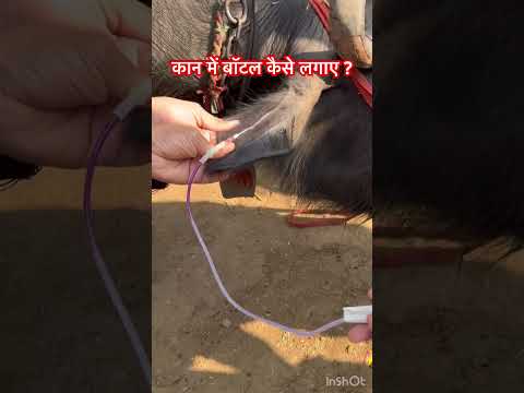 Intravenous injection l dr Umar Khan