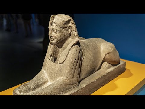 Live: Exhibition of ancient Egyptian treasures opens at Shanghai Museum