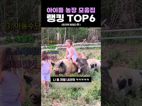 <strong>아이들</strong> 농장 모음집 랭킹 TOP6