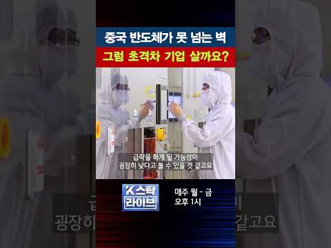 중국 반도체가 못 넘는 벽...그럼 초격차 기업 살까요?｜K스탁 라이브