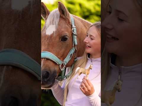 Who buying?👇 #horse #equestrian #toys #animals