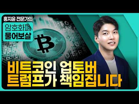 비트코인 업토버, 트럼프가 책임집니다 | 홍지윤 전문가
