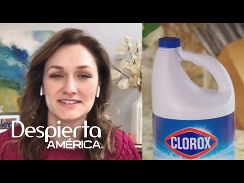 Presidenta de Clorox habla sobre la demanda de productos durante la pandemia