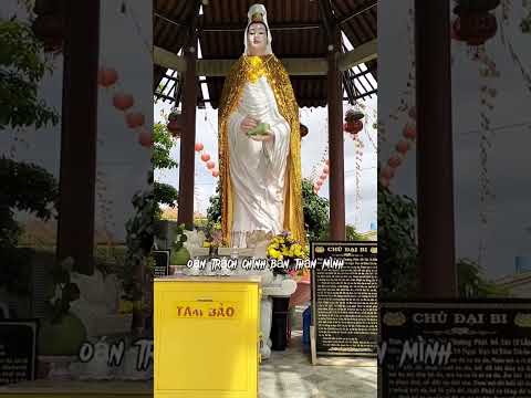 HÃY THEO ĐỊNH LUẬT TỰ NHIÊN, TÙY DUYÊN, Ý TRỜI