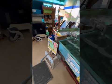 アオリイカ釣好調につき、今売れ始めた活アジ入荷しました。14センチ前後。1匹239円(税込)。のませ、ウキ釣りにも最適。10月28日火曜日