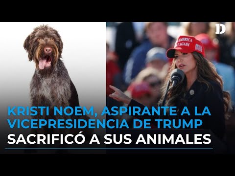Kristi Noem, posible vicepresidenta de Trump, confiesa haber matado a su perro y cabra I El Diario