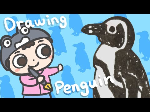 【Penguin】How to draw African penguin | step by step