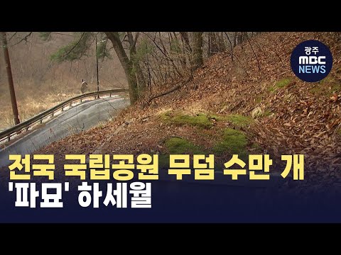 [대전] 전국 국립공원 무덤 수만 개...'파묘' 하세월 (뉴스투데이 2024.04.01 광주MBC)