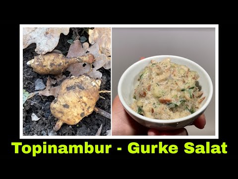Topinambursalat mit Gurke Rezept Topinambur Gurkensalat | Selbstversorgung 