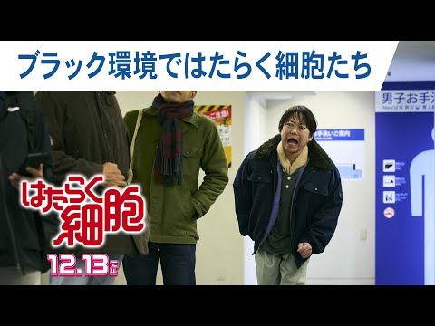 映画『はたらく細胞』ブラック環境ではたらく細胞たち（不摂生な父・茂の体内）2024年12月13日（金）公開！