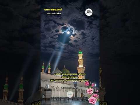 തണലെഴുത്ത് - 243 മനം നിറയെ മദീനാ | #muthnabiﷺ #mrs_rak #madina #foryou #തണലെഴുത്ത് #madhsong