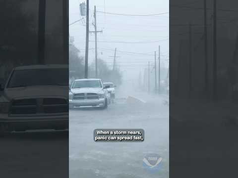 Day 5 - Stay Protected During Storms