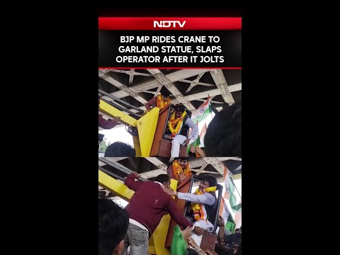 BJP MP Rides Crane To Garland Statue, Slaps Operator After It Jolts