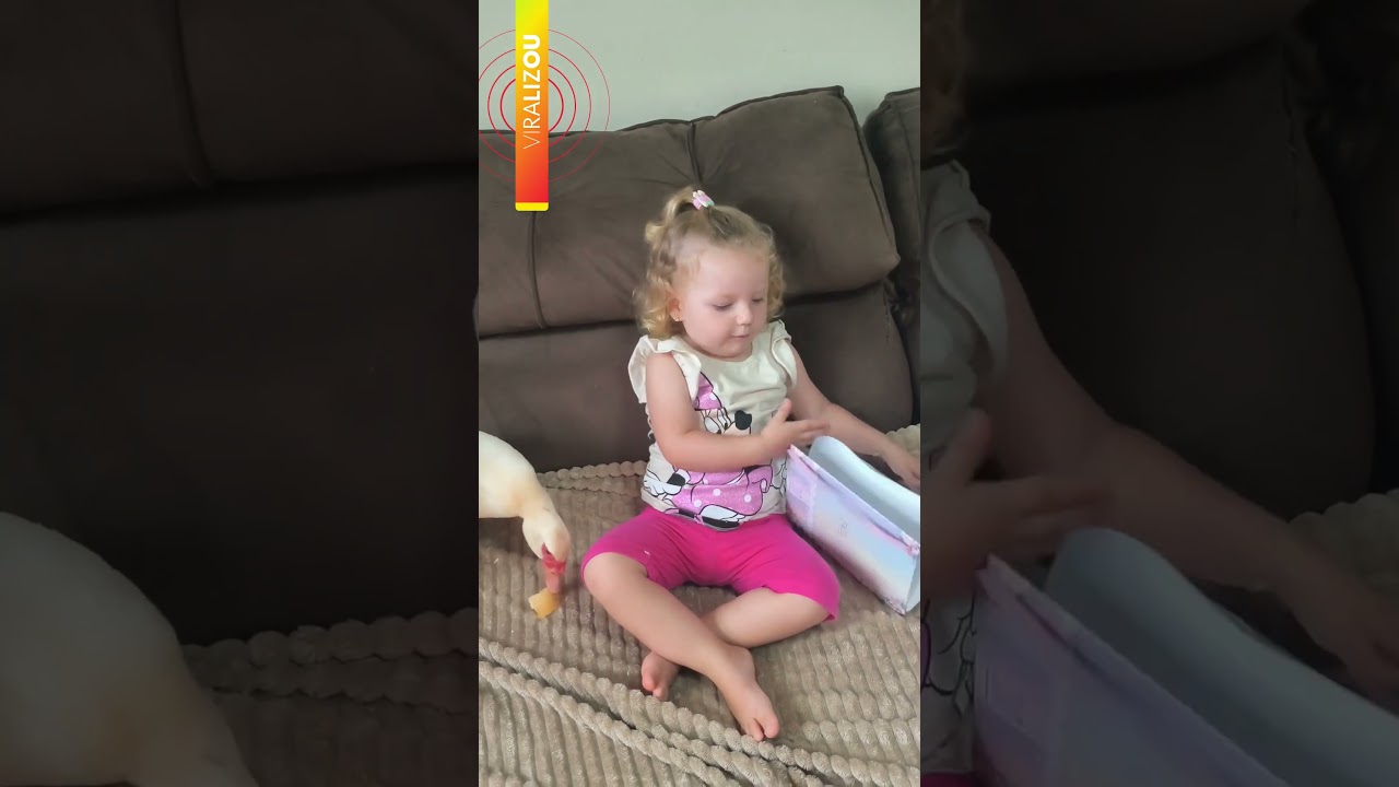 Menina de 2 anos reúne ‘plateia inusitada’ para contar sobre o dia na escola