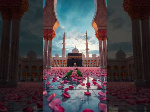 Jiske Sath Koi Nahi Uske Saath Allah Hai☝🏻 Ameen 🤲🏻 #love #andrast