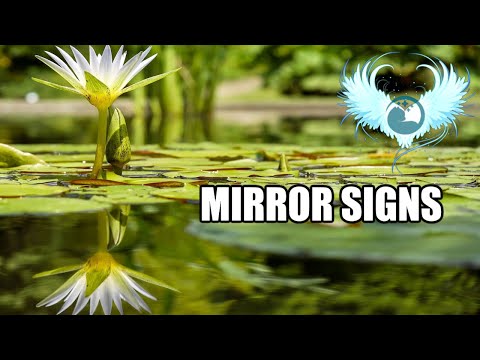 "Mirror Signs" - The Sign you wait for VS The Sign you need