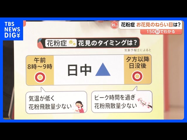 Image of Cherry Blossom Recommended Viewing Times for Allergy Sufferers