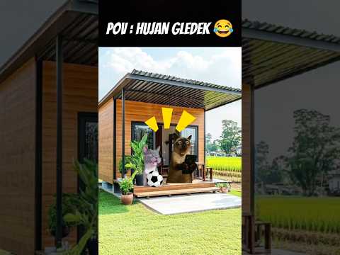 Pov : Hujan Gledek 😨 #meme #cat #kucing #tranding #funny